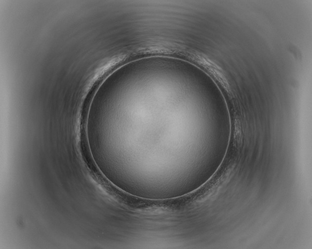 X0000115490578200911061309