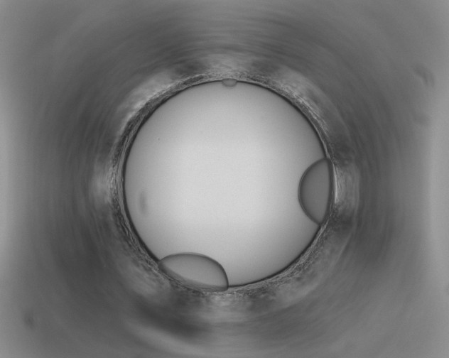 X0000115490579200911061309