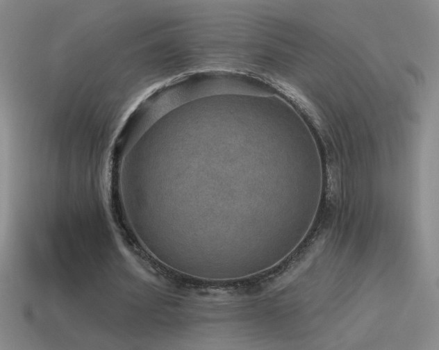 X0000115490580200911061309