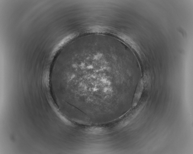 X0000115490581200911061309