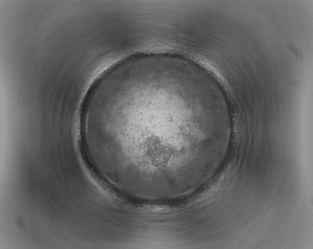 X0000115490582200911061309