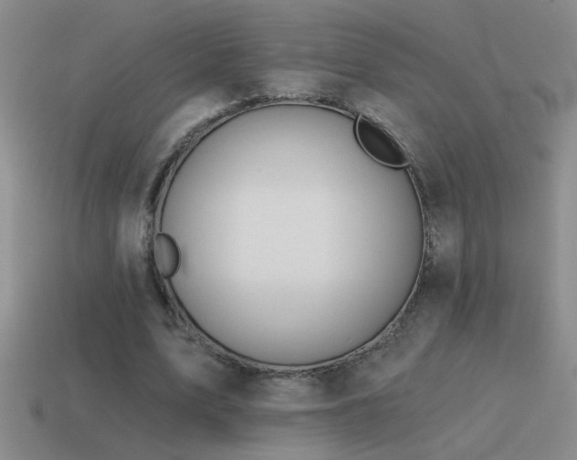 X0000115490583200911061308