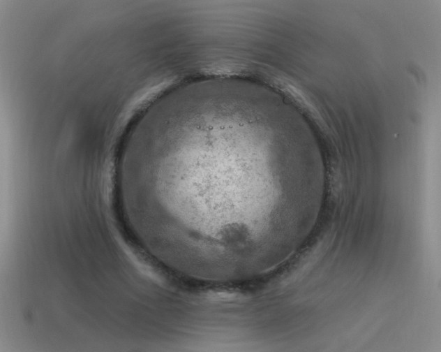 X0000115490586200911061308