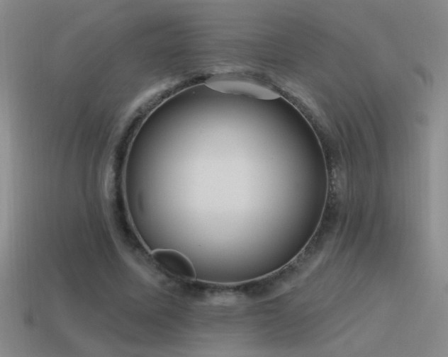 X0000115490587200911061308
