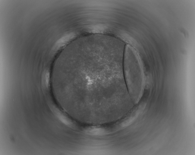 X0000115490589200911061308