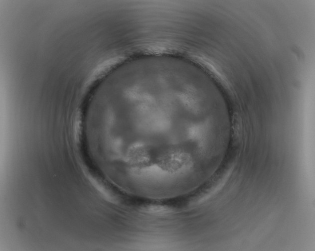 X0000115490590200911061308