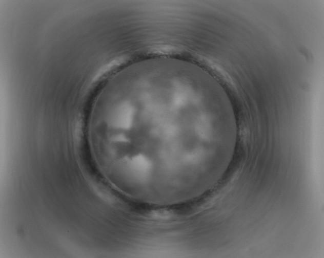 X0000115490591200911061308