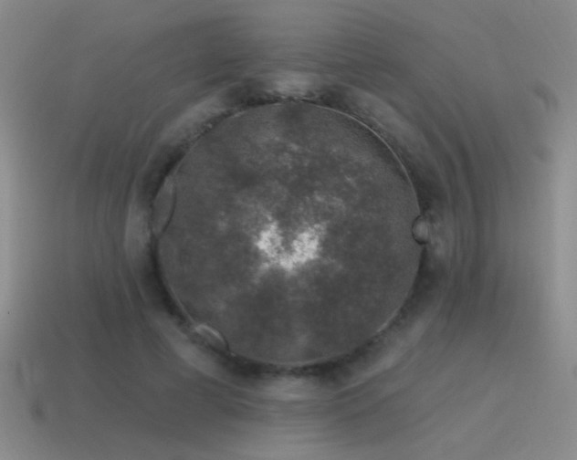 X0000115490593200911061308