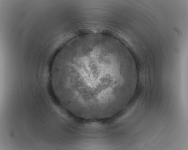 X0000115490594200911061308