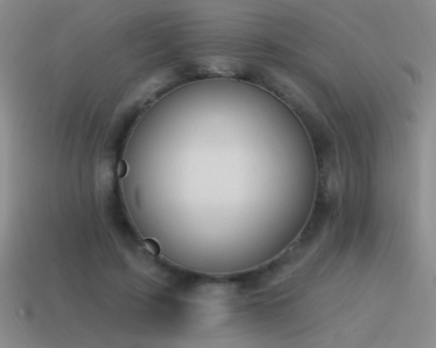 X0000115490595200911061308