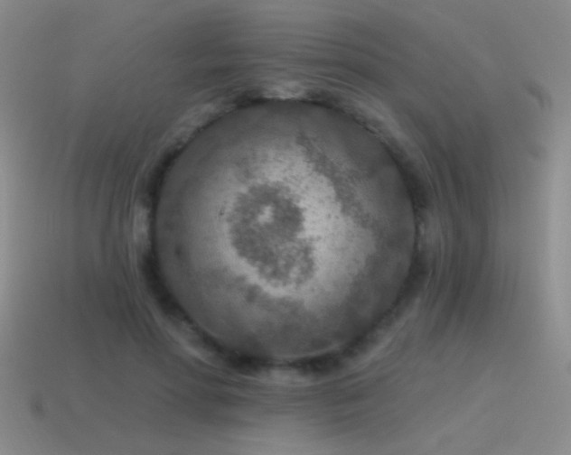 X0000115490598200911061308