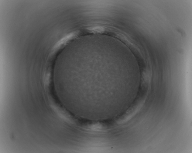 X0000115490600200911061308