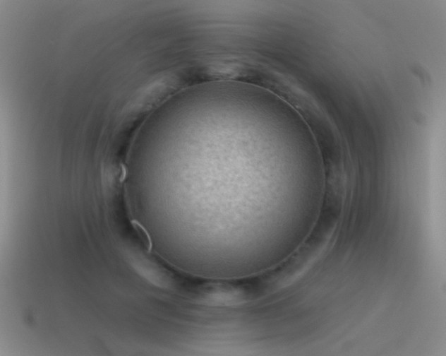 X0000115490601200911061308