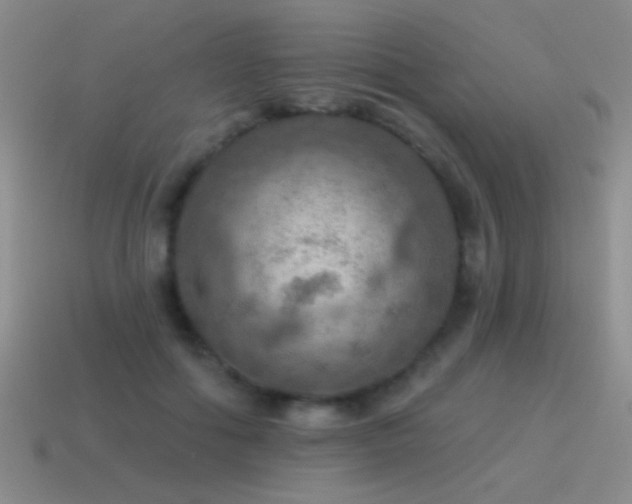 X0000115490602200911061308