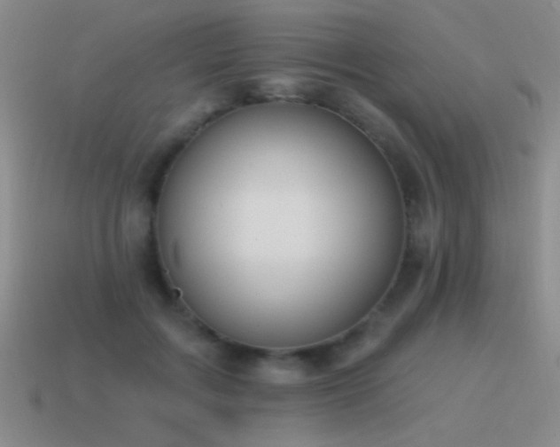 X0000115490603200911061308