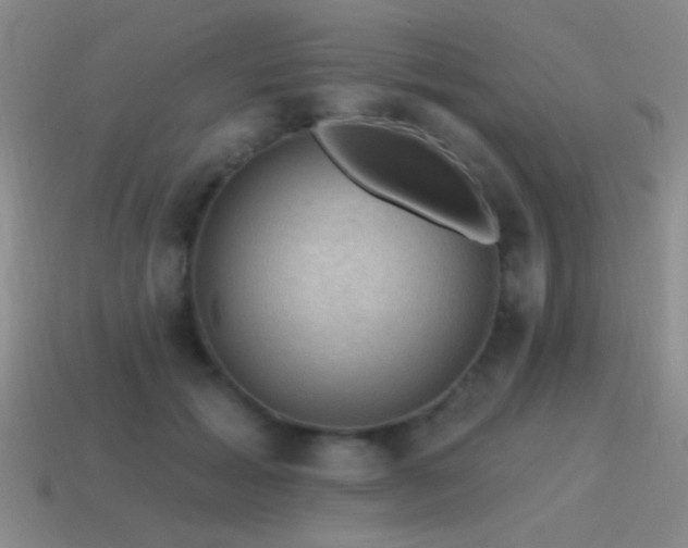 X0000115490605200911061308