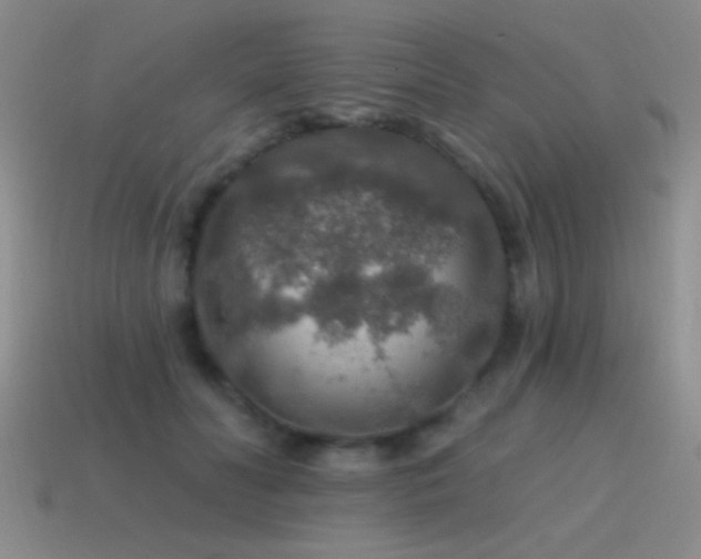 X0000115490606200911061308