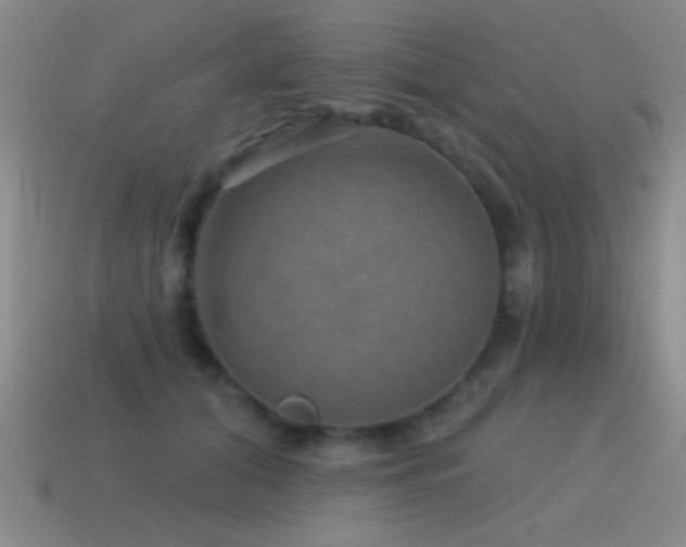 X0000115490608200911061308