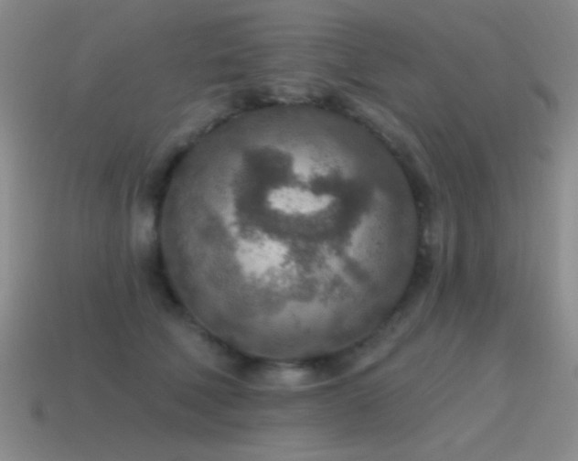 X0000115490610200911061308