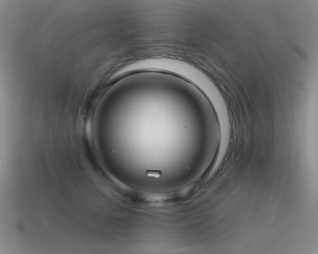 X0000115490611200911061308