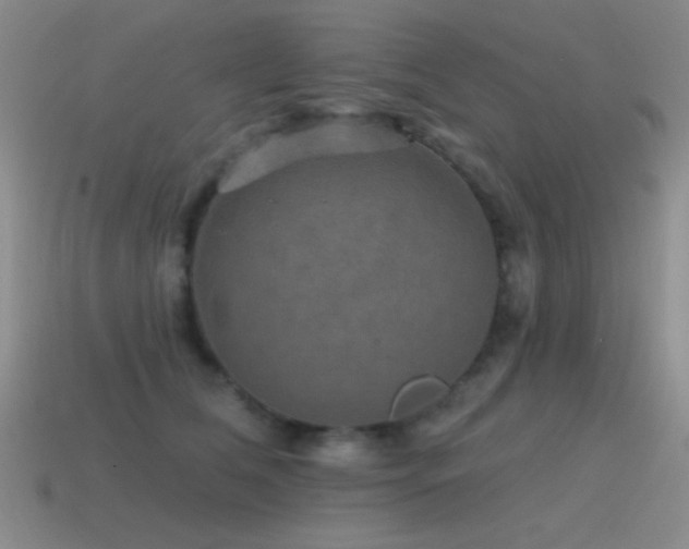 X0000115490612200911061308