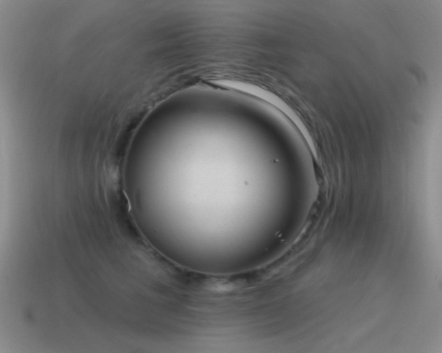X0000115490613200911061308
