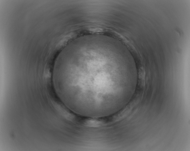 X0000115490614200911061308
