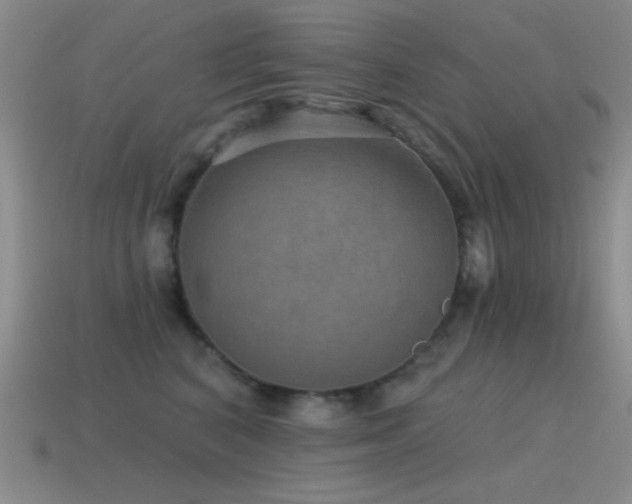 X0000115490616200911061308