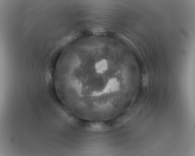 X0000115490618200911061308