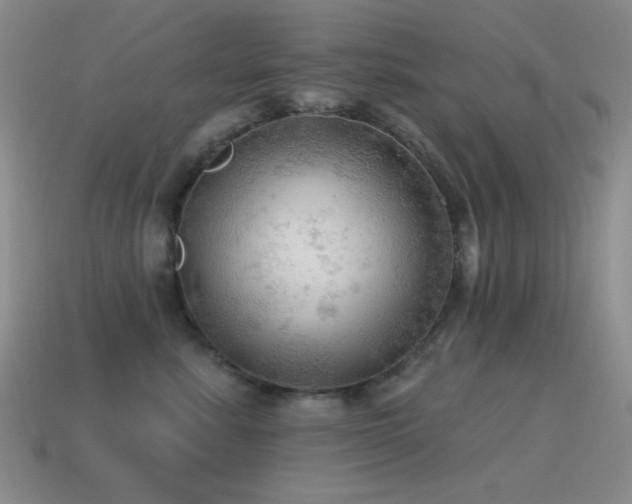 X0000115490619200911061308