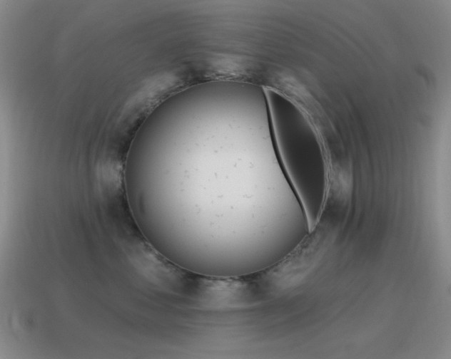 X0000115490621200911061308