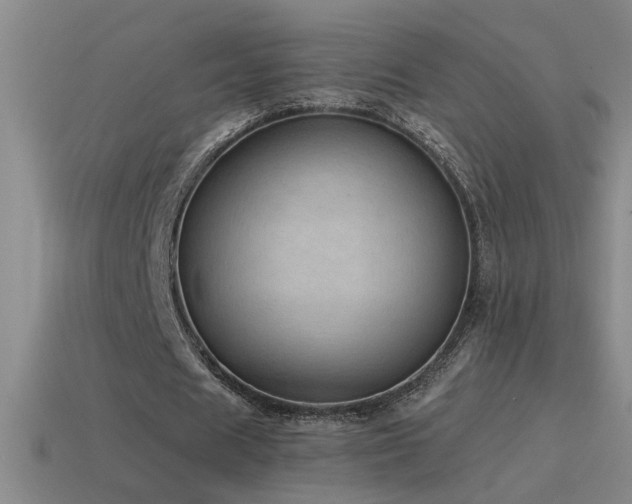 X0000115490625200911061307