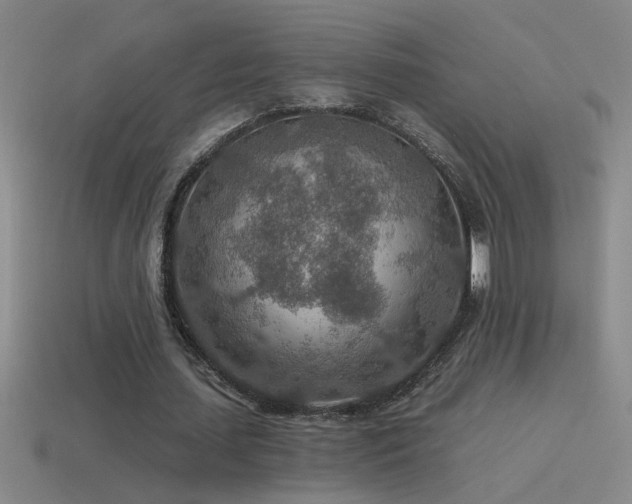 X0000115490627200911061307