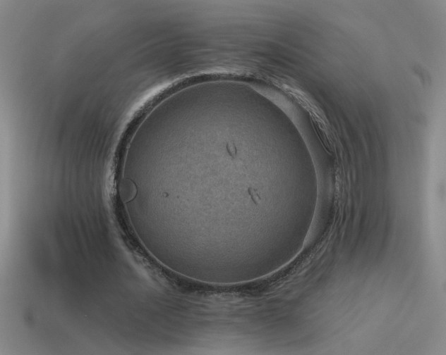 X0000115490628200911061307