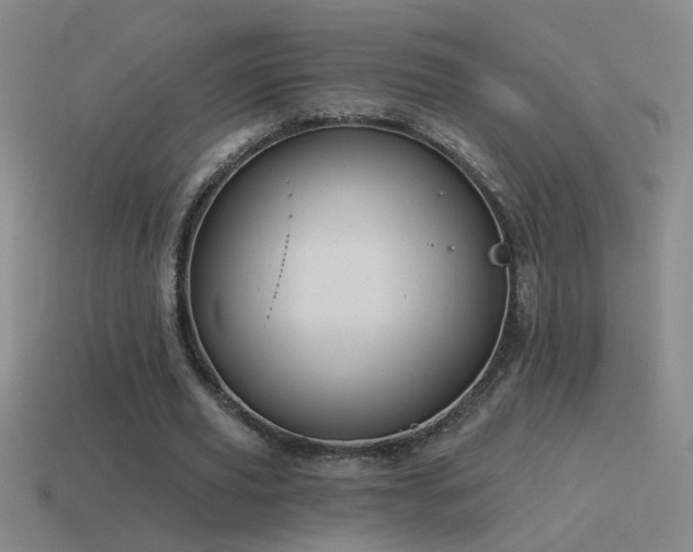 X0000115490629200911061307