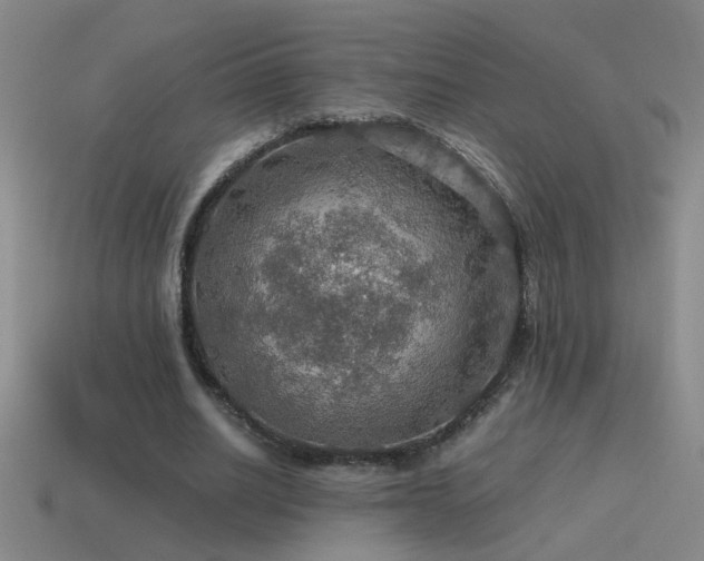 X0000115490630200911061307