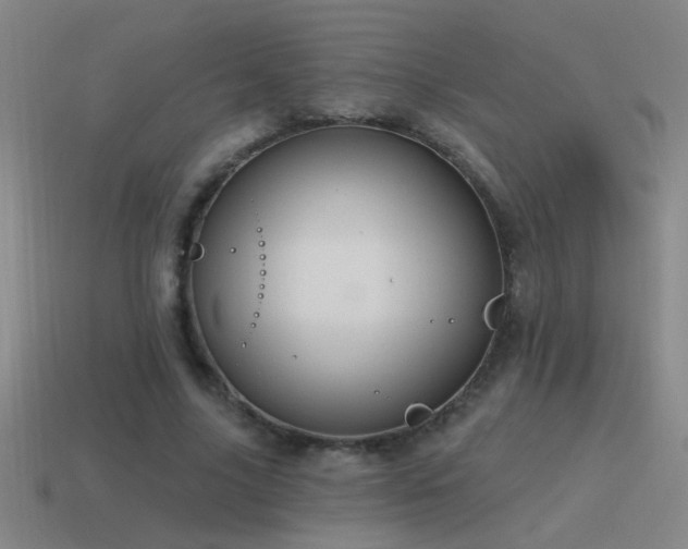 X0000115490635200911061307