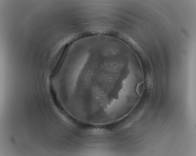 X0000115490637200911061307