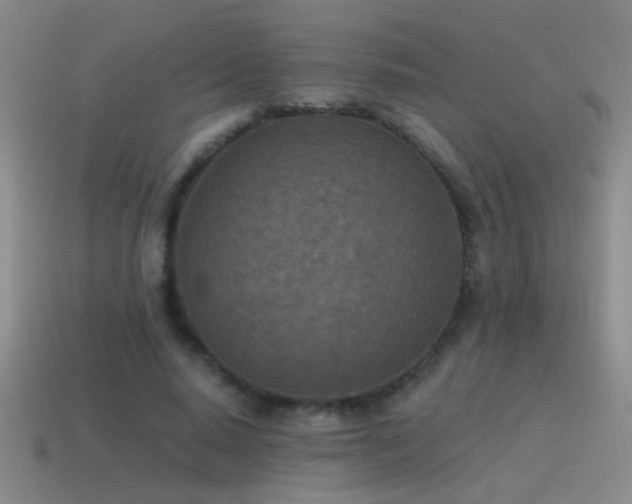 X0000115490640200911061307
