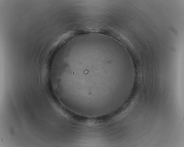 X0000115490641200911061307