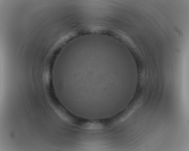 X0000115490644200911061307