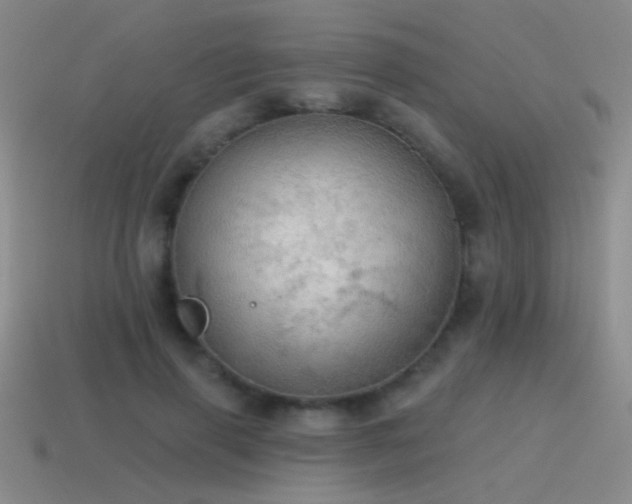X0000115490645200911061307