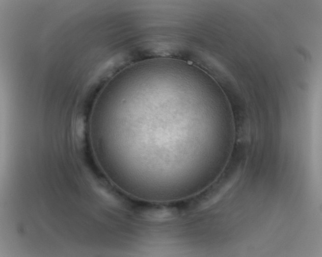 X0000115490646200911061307