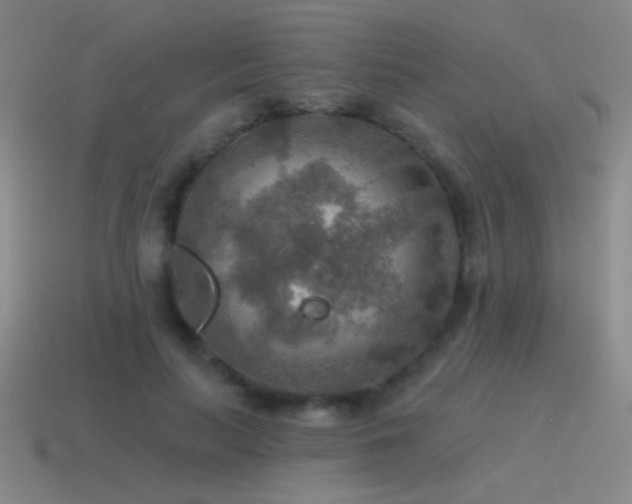 X0000115490647200911061307