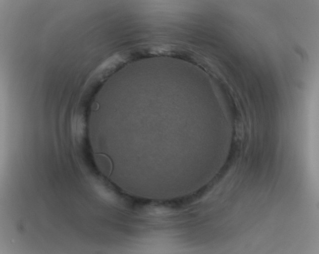 X0000115490648200911061307