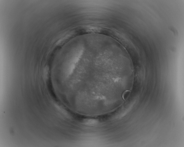 X0000115490649200911061307