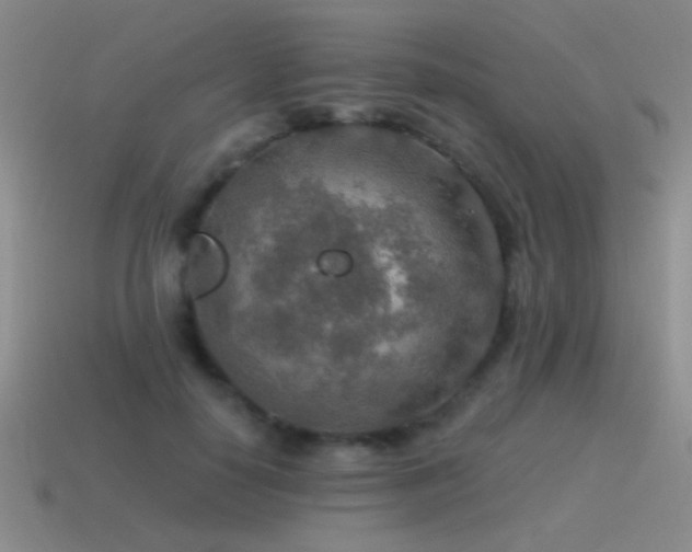 X0000115490650200911061307