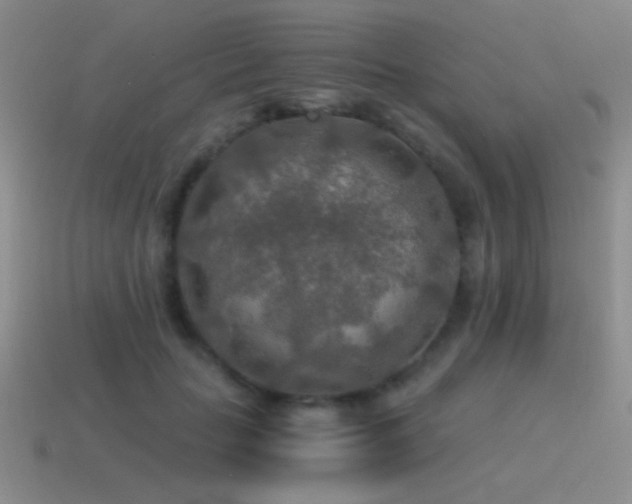 X0000115490653200911061307