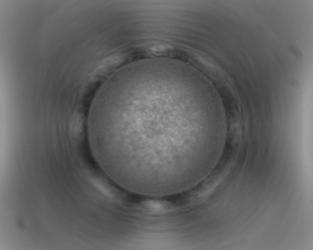 X0000115490654200911061307