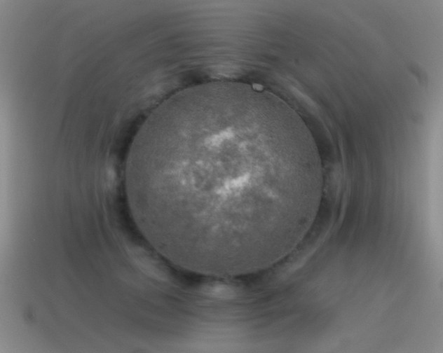 X0000115490655200911061308